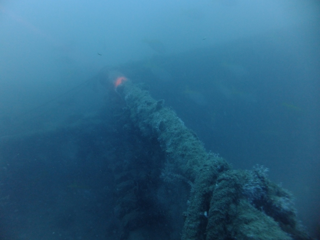 DJL diving discover a wreck