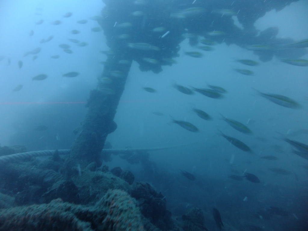 Thailand wreck dives